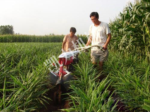 姜地用田園管理機