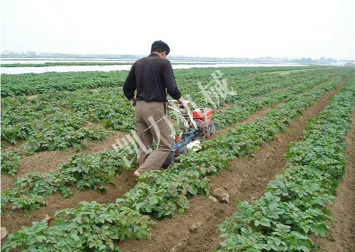 馬鈴薯開溝培土機